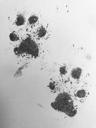 Paw Print Taking Kit (Top Up Kit or for use with engraved jewellery)